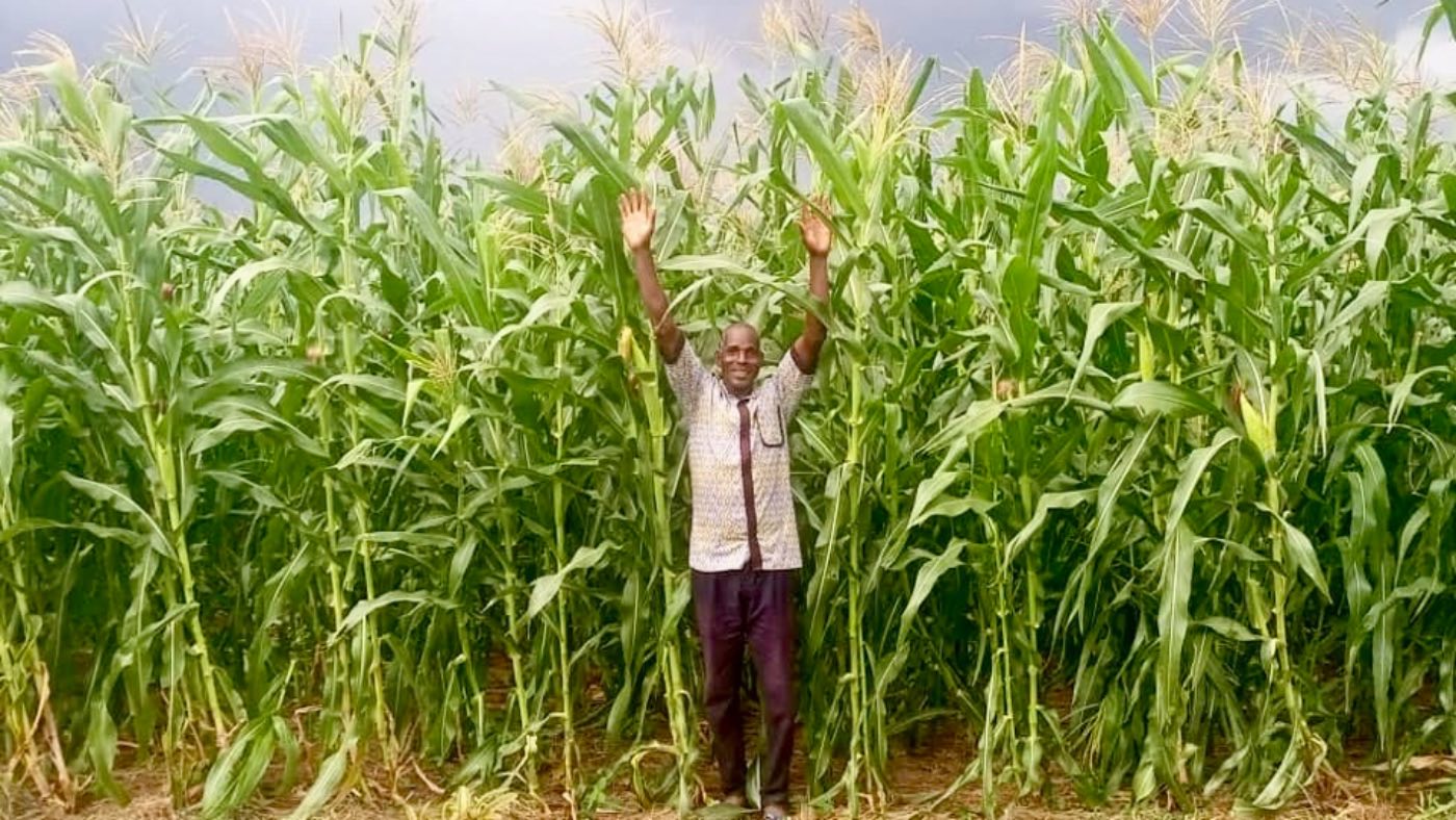 A farmer standing with his arms raised in a tall field of maize