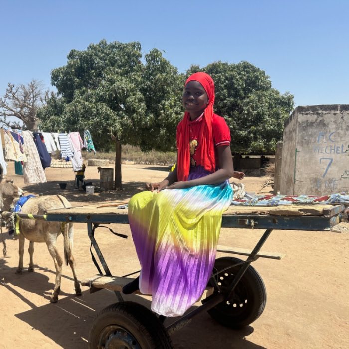A girl sitting on a donkey cart in a village